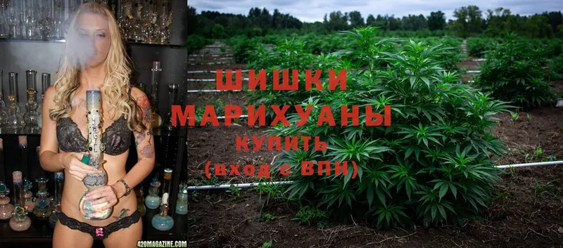 Марихуана OG Kush  купить наркотик  Очёр 